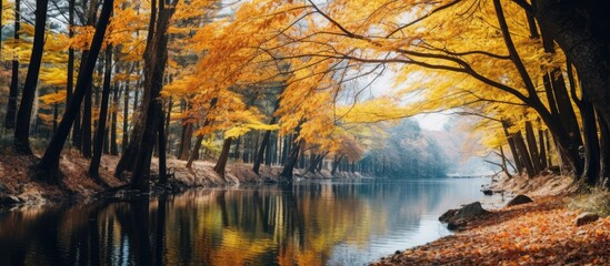 A tranquil view of a river flowing through a forest with vibrant yellow and orange leaves adorning the trees along the bank - Powered by Adobe