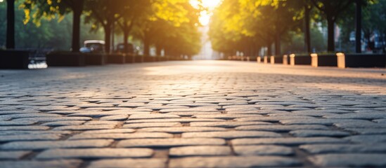 A cobblestone road with trees in the background on a sunlit empty street near the park, viewed from...