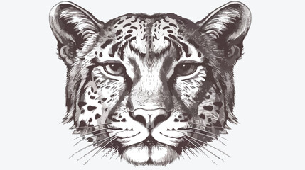 Vector antique engraving illustration of big cat muzz