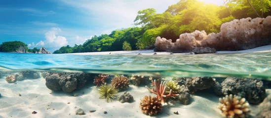 Foto op Canvas The picturesque view showcases a tropical paradise beach with colorful stony corals up close on the sandy shore © vxnaghiyev