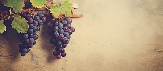 Numerous ripe grapes are attached to a vine growing on a sturdy wall, creating a beautiful and bountiful display - obrazy, fototapety, plakaty