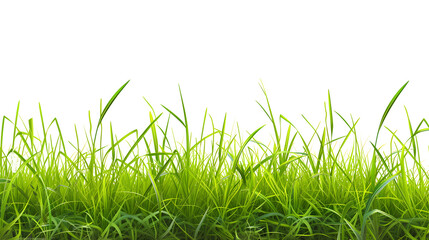 Fototapeta premium Meadow with green grass in the foreground isolated on transparent background.