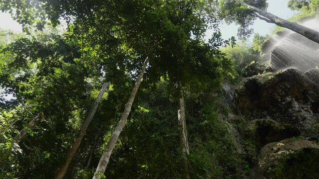 Low angle view of the Tumalog watterfall with tree canopy in the Philippines.