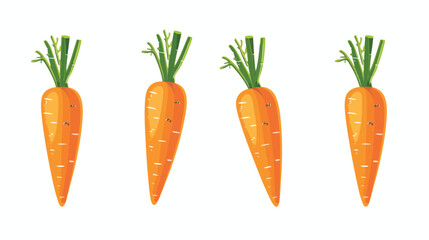 Carrot vegetable fresh supermarket food design