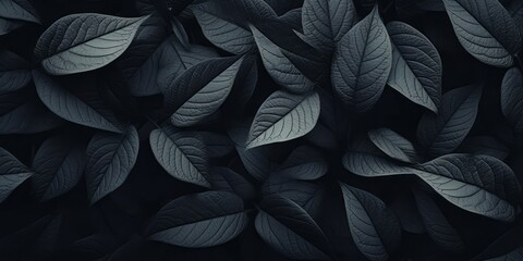 Black leaves lay on a dark background, their voluminous forms, nature-inspired imagery, and lo-fi aesthetics apparent in light gray and dark black.