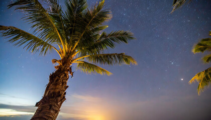 Starry night sky against with coconut palm tree and romantic evening twilight sky