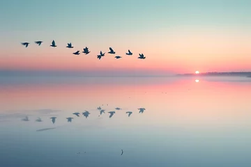 Fotobehang /imagine: A flock of birds taking off in unison from a calm, serene lake, with their reflection shimmering in the water, at dawn © Kashif