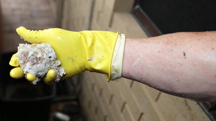 Blocked kitchen drain, due to fats and oils. Large ball of hardened old fat that blocked the drain,...