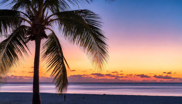 A sunset paints the sky in hues of orange pink over a tranquil beach with a palm tree swaying gently.