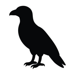 silhouette of a predatory bird on white
