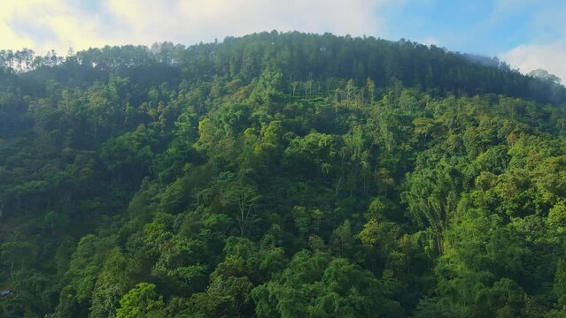 Drone flying over a beautiful green forest on the hill in the morning. Flying above beautiful green tropical rainforest. 4K drone shot.