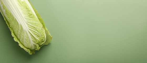 Fresh ripe Chinese cabbage on green background, top view. Banner design with space for text