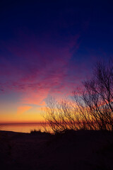 A beautiful spring sunset landscape at the Baltic sea beach with bare bush silhouettes against the colorful sky. Seaside scenery in Northern Europe.