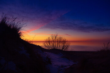 Beautiful sunny landscape of grass growing on the dunes near Baltic Sea. Early spring sunset scenery of Northern Europe