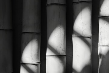 Abstract representation of bamboo black and white colors, focusing on the play of light and shadow.