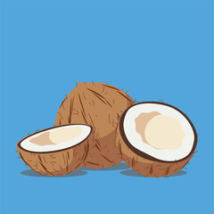 coconut illustration