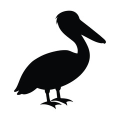 pelican silhouette isolated on white