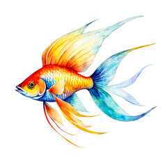 Fototapeta premium A gold fish watercolor illustration, orange flying fish, clipart, for scrapbook, journal, wall art print, kids picture book , cutout on white background