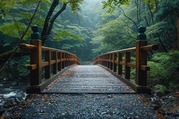 pathway and a wooden bridge in the middle of a forest