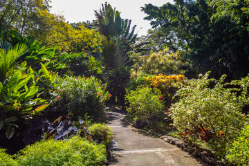 Jardin Botaniqu de Deshaies, botanical garden with flora and fauna in Guadeloupe, Caribbean, French...