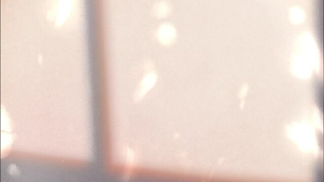 Bokeh defocused Sunset lights. cinematic shadow reflection. video background.