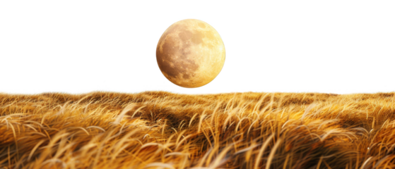 Full moon over ripened fields isolate on transparent background, png, cutout