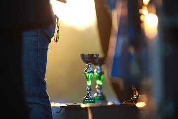 trophy glistening in sunset at awards ceremony