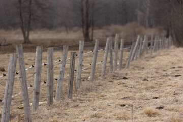 An early spring landscape of a meadow with wooden electric fence. NAtural rural scenery of Northern Europe.