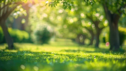 Tuinposter Spring Trees Background. Abstract Garden Scene with Blurred Bokeh in Sunny Day © AIGen