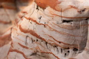 A beautiful close-up of a sandstone wall in Gauja National Park, Latvia. Early spring scenery in...