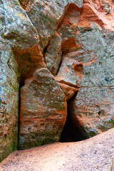 A beautiful sandstone cliff wall with small caves in Gauja National Park, Latvia. Springtime...