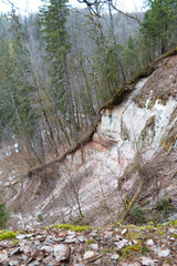 A beautiful sandstone cliff wall with small caves in Gauja National Park, Latvia. Springtime...