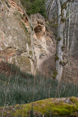 A beautiful sandstone cliff wall with small caves in Gauja National Park, Latvia. Springtime scenery in Northern Europe. - 771400387