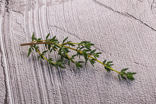 Aroma seasoning thyme stem with leaves