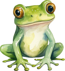 green frog - 771405718