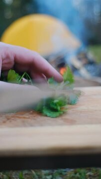 Vertical footage of male hands cutting fresh green cilantro parsley on wooden desk with knife near warm campfire and tent in early spring forest. Food healthy, travel and cooking outdoor concept