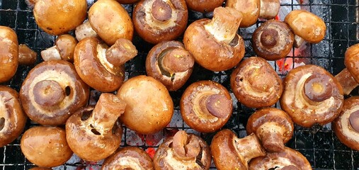 Grill mushrooms. Cook food on the grill. Frying champignon mushrooms. Grilled champignons. Picnic, outdoor recreation.