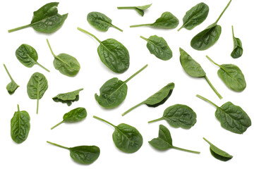 spinach leaves isolated, png file