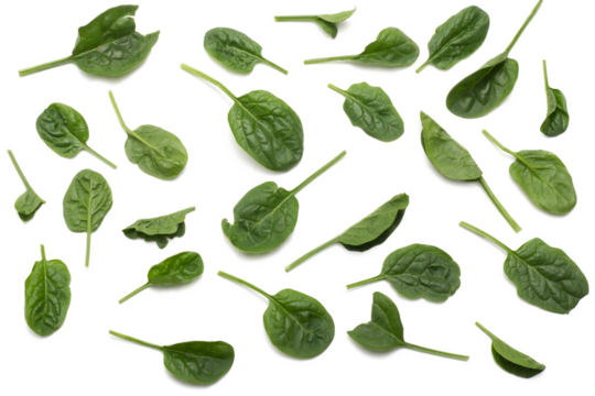 spinach leaves isolated, png file