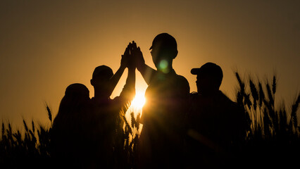 A group of successful farmers in a field giving a high five.
