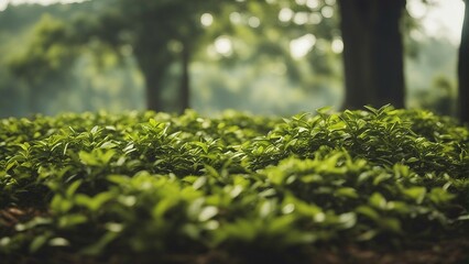 Generative AI. Close up shot of green leaves. Sun rays, green environment, pollution free, tea leaves, Green leaves background, Fresh green leaves growing in spring, 
