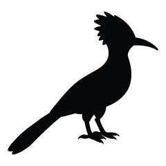 silhouette of a hoopoe bird on white © Ismail Hossain