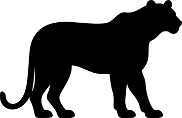 Lioness silhouette
