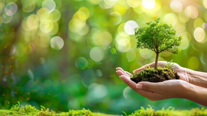 Trees planted in human hands with natural green background. environmental protection On the occasion of World Environment Day.