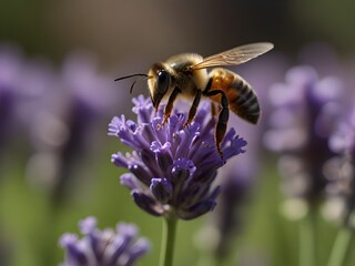 Bee landing on a vibrant lavender bloom, generative AI