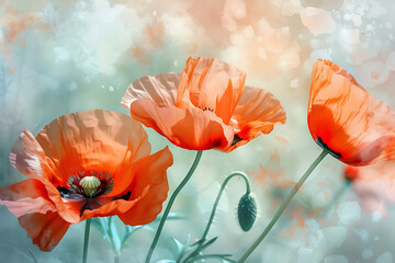 watercolor poppy flowers summer background