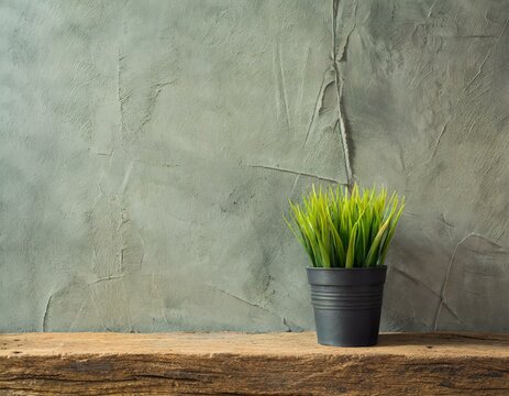 Zement wand als Hintergrund mit pflanze 