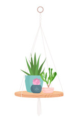 House plant in hanging macrame pot. Home green garden. Vector illustration of tropical flowers in hanger. Cute beautiful handmade home or office decoration