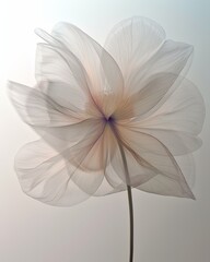 Obraz premium Sepia lotus background white.