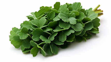 bunch of parsley  high definition(hd) photographic creative image
